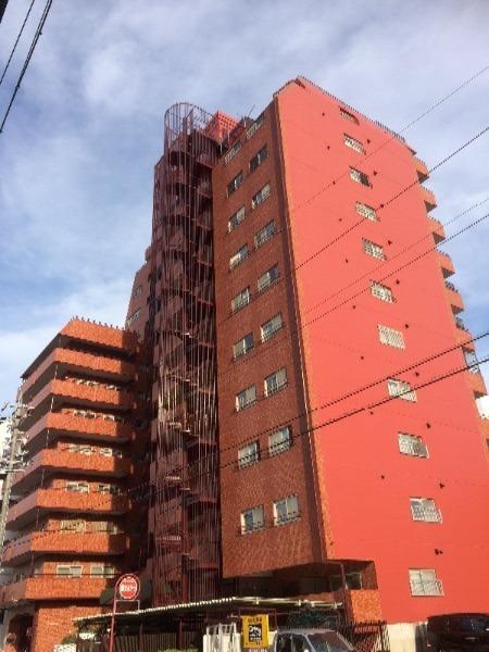 シャンボール康生