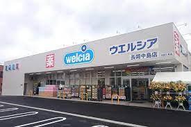 豊川市西豊町2丁目59期 全2棟・2号棟(ウエルシア豊川駅東口店)