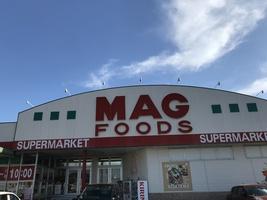 岡崎市上和田町字下川田の土地(マグフーズ六ツ美店)