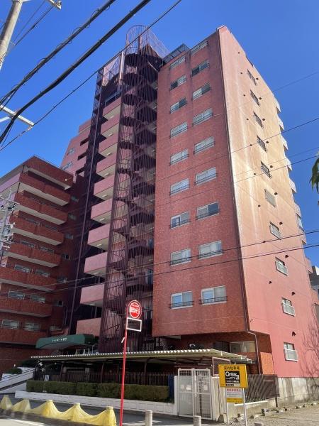 シャンボール康生