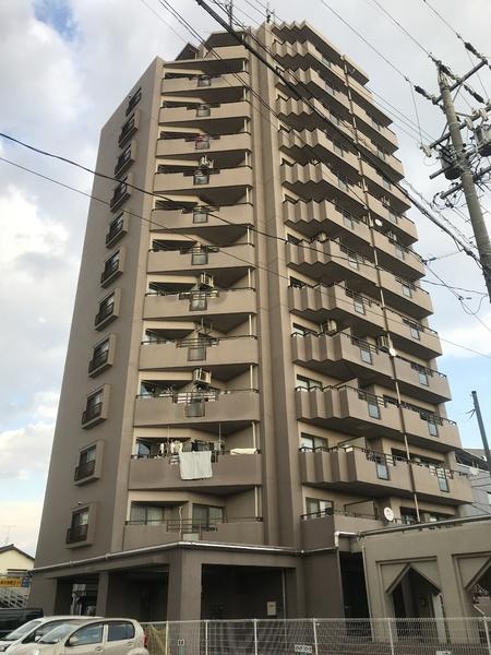 キングスコート南天白