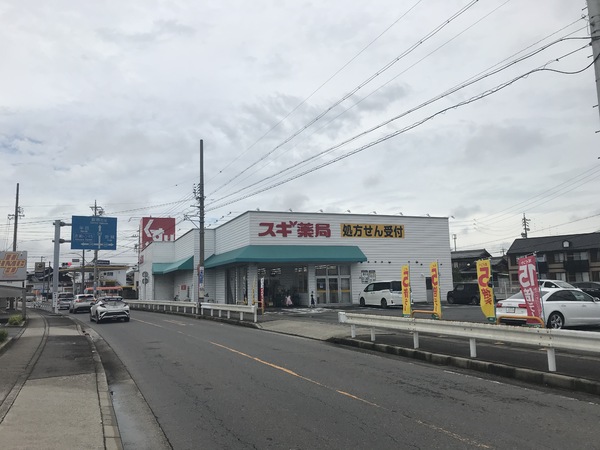 碧南市日進町第7　全2棟・1号棟(スギ薬局碧南伏見店)