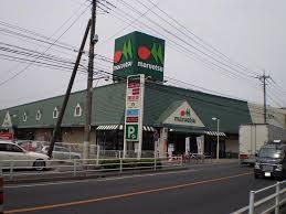 春日部市緑町6丁目の中古一戸建て(マルエツ春日部緑町店)