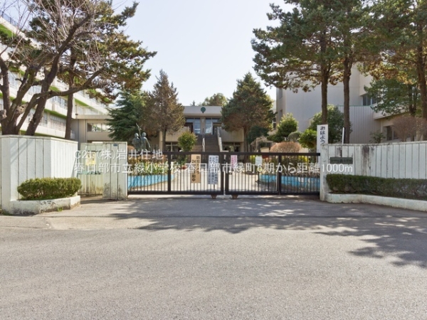 春日部市緑町１丁目の新築一戸建(春日部市立緑小学校)
