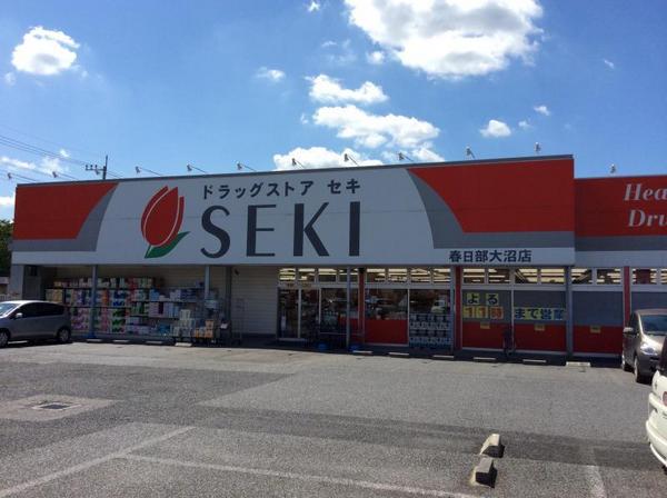 春日部市大沼６丁目の土地(ドラッグストアセキ春日部大沼店)