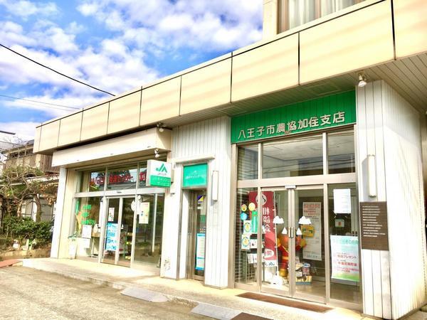 八王子市丹木町３丁目の中古一戸建て(JA八王子加住支店)