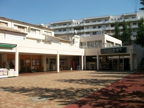 グリーンヒル寺田133号棟(スーパーナカヤ八王子寺田店)