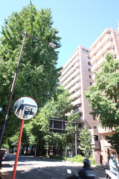 藤和シティホームズ西八王子