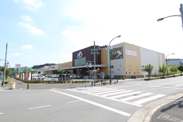 八王子市七国2丁目の中古一戸建て(スーパーアルプスみなみ野店)