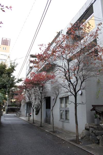 サンビュー南町