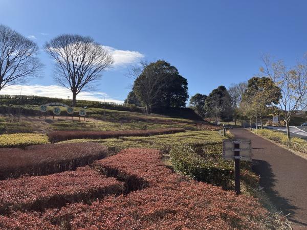 千葉市緑区土気町の土地(昭和の森)