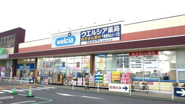 千葉市若葉区殿台町の土地(ウエルシア千葉東寺山コープ店)