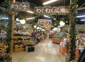四街道市大日の土地(わくわく広場四街道店)