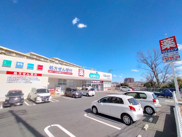 千葉市緑区越智町の土地(ウエルシア千葉高津戸店)