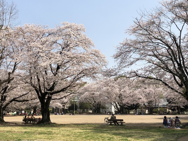千葉市若葉区小倉台6丁目新築一戸建て(小倉台公園)