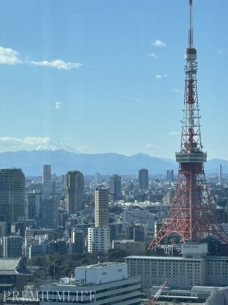 東京ツインパークス　レフトウイング