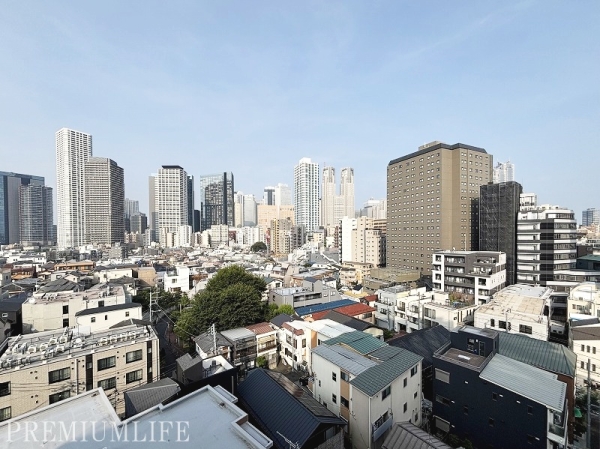 ディオレ西新宿