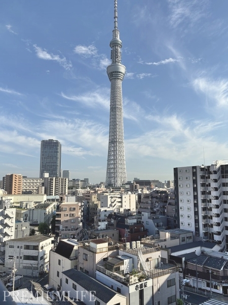 エクレール向島