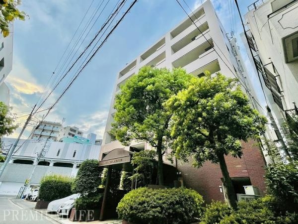 サーラ・コモド都立大学