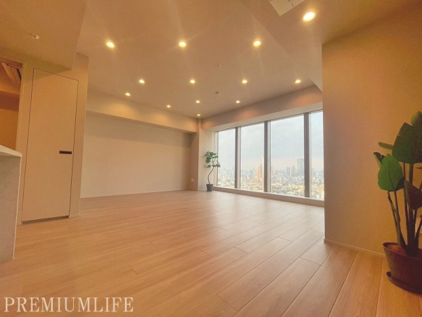 白金ザ・スカイ　ＥＡＳＴ