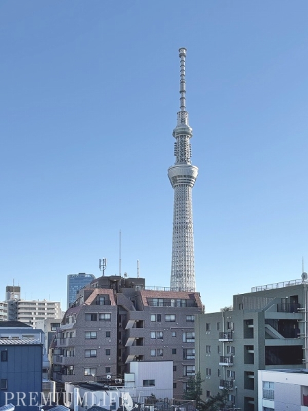 セレナハイム隅田公園ビューステージ