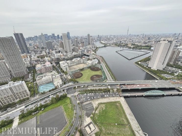 パークタワー晴海