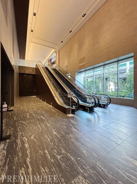 白金ザ・スカイ