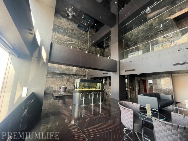 ガレリアグランデ(その他)