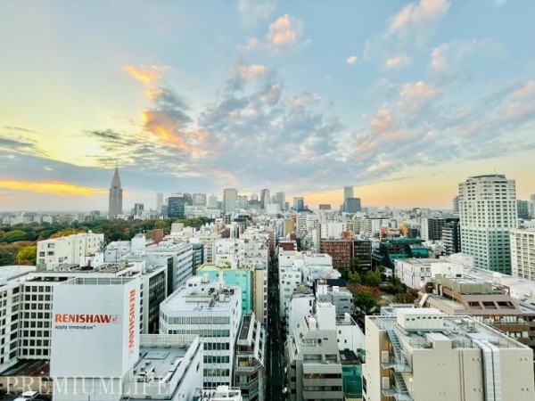 クラッシィタワー新宿御苑