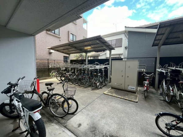 ＬＥ－ＬＩＯＮ　ＩＫＥＢＵＫＵＲＯ　ＣＯＭＦＯＲＴ