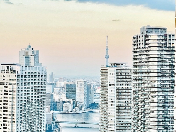 ＴＨＥ　ＴＯＫＹＯ　ＴＯＷＥＲＳ　ＭＩＤ　ＴＯＷＥＲ
