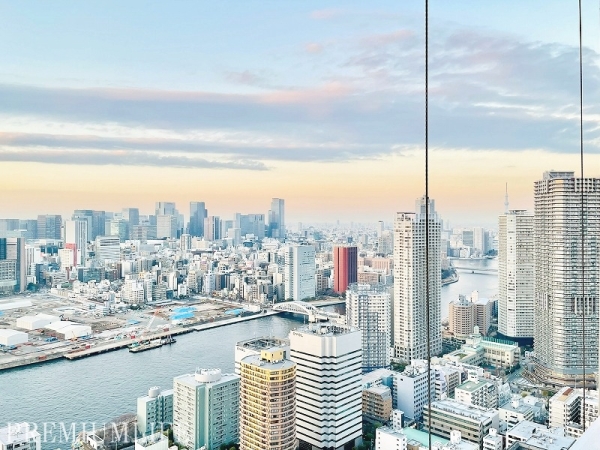 ＴＨＥ　ＴＯＫＹＯ　ＴＯＷＥＲＳ　ＭＩＤ　ＴＯＷＥＲ