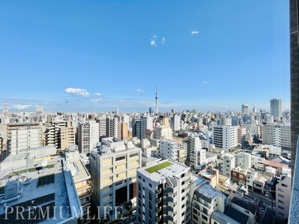 東京ビューマークス