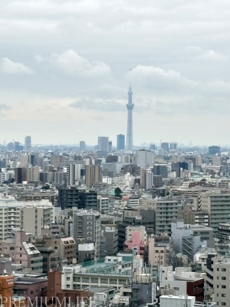 ライオンズタワー池袋