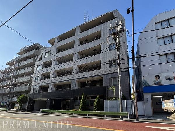 エルラフィナ白金