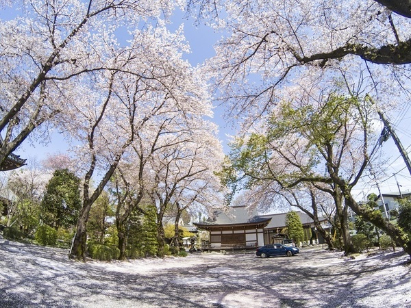 東久留米市小山1丁目の中古一戸建て(大円寺)