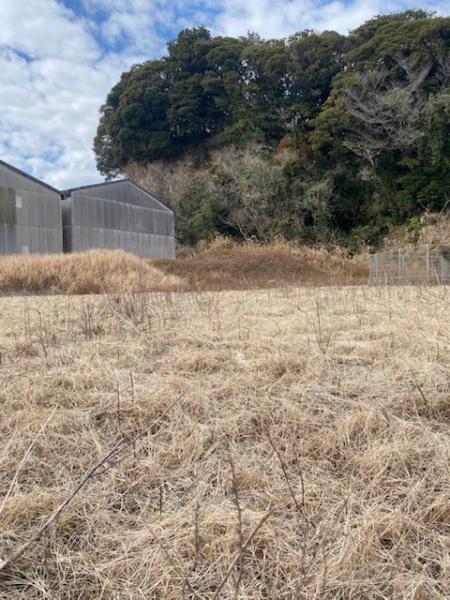 いすみ市大原の売土地