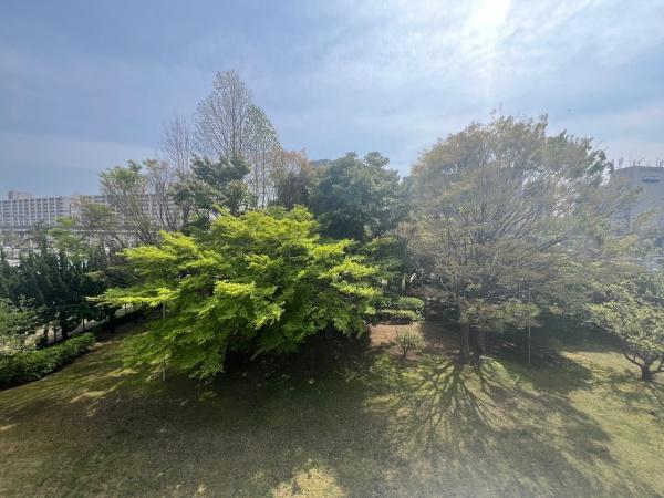 高洲一丁目住宅
