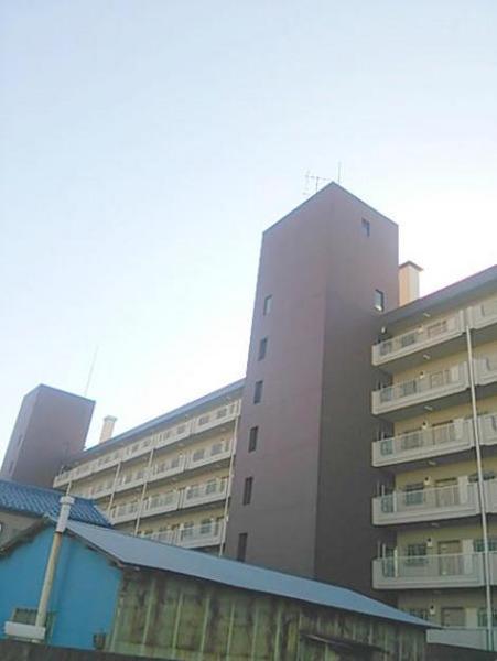 原木キャピタルコータス