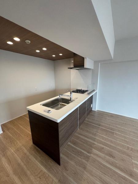 幕張ハウス(キッチン)