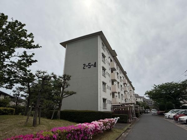 高洲2丁目団地5-4103号室