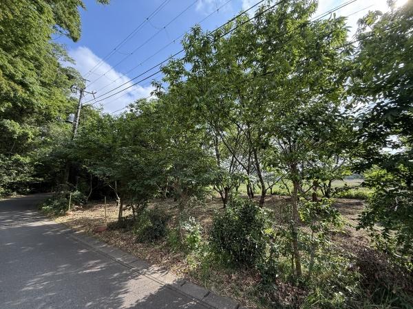 千葉市緑区平川町の売土地