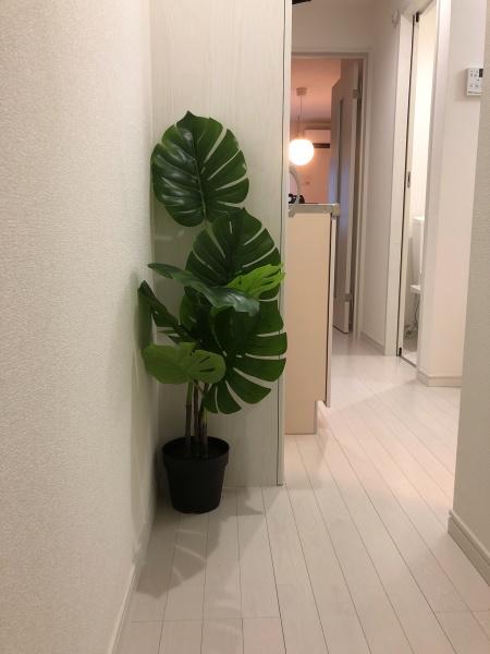 ラメール