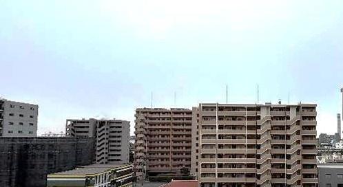 アデニウム千葉みなと