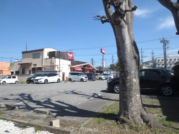 セレナハイム千葉椿森(ビッグボーイ道場北店)