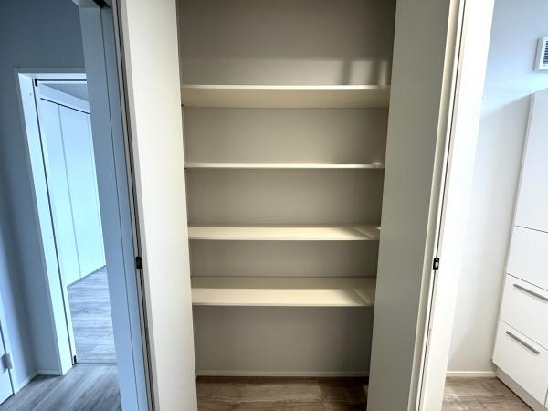 川崎市多摩区三田3丁目の新築一戸建(収納)