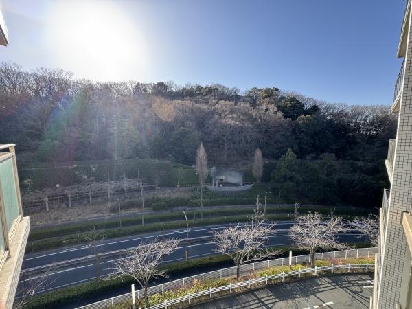 アルボの丘１番街