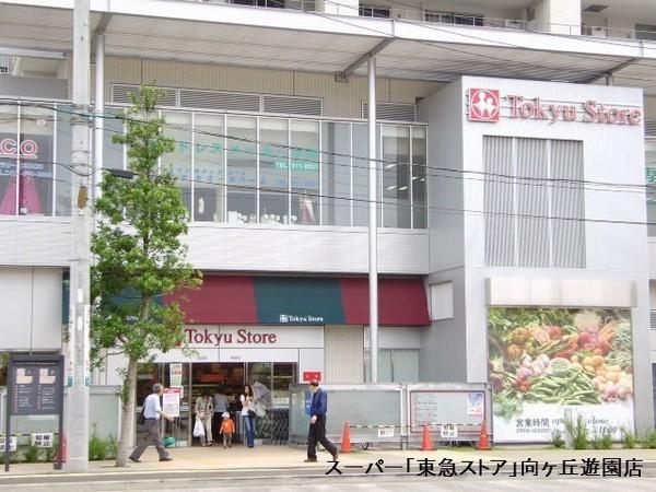 クレストフォルム登戸(向ヶ丘遊園東急ストア)