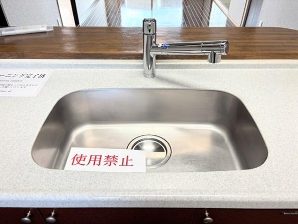 ドメス稲田堤