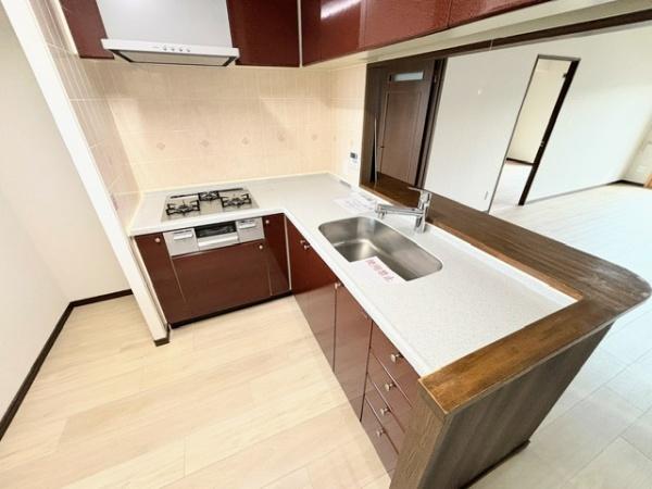 ドメス稲田堤